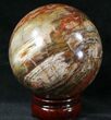 Colorful Petrified Wood Sphere #20634-1
